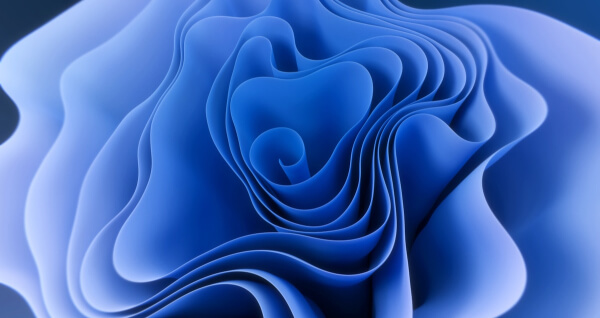 contact-header Contact Header